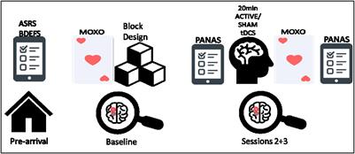Null tDCS Effects in a Sustained Attention Task: The Modulating Role of Learning